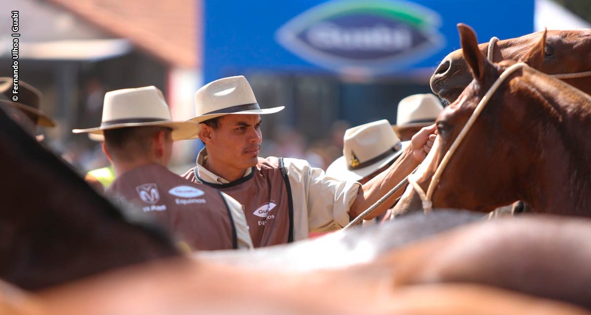 Mangalarga marchador: a importância da dieta certa para provas de longa duração