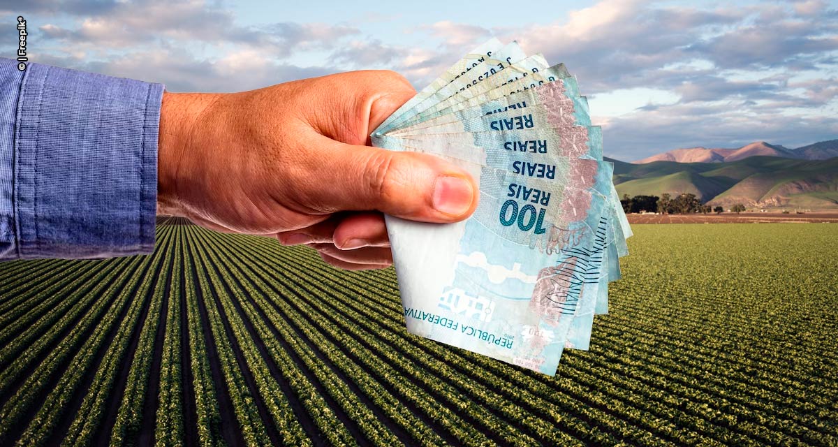 Reforma tributária pode gerar impactos no agronegócio. Entenda!