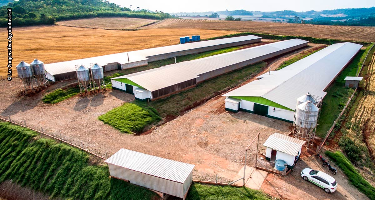 Avicultura do Paraná adota modelo de desenvolvimento sustentável