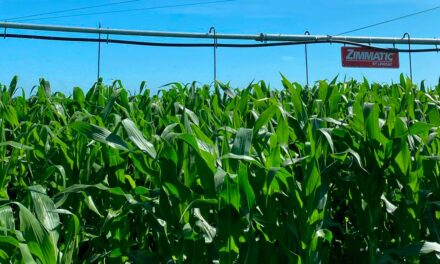 Irrigação tecnológica é a segurança para a agricultura familiar