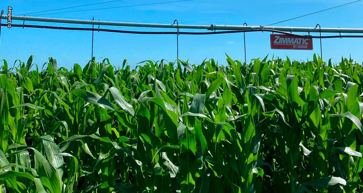 Irrigação tecnológica é a segurança para a agricultura familiar