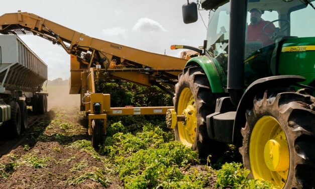 Dia do agricultor: pesquisa aponta avanço da economia no setor que destaca uso de tecnologia e automação industrial