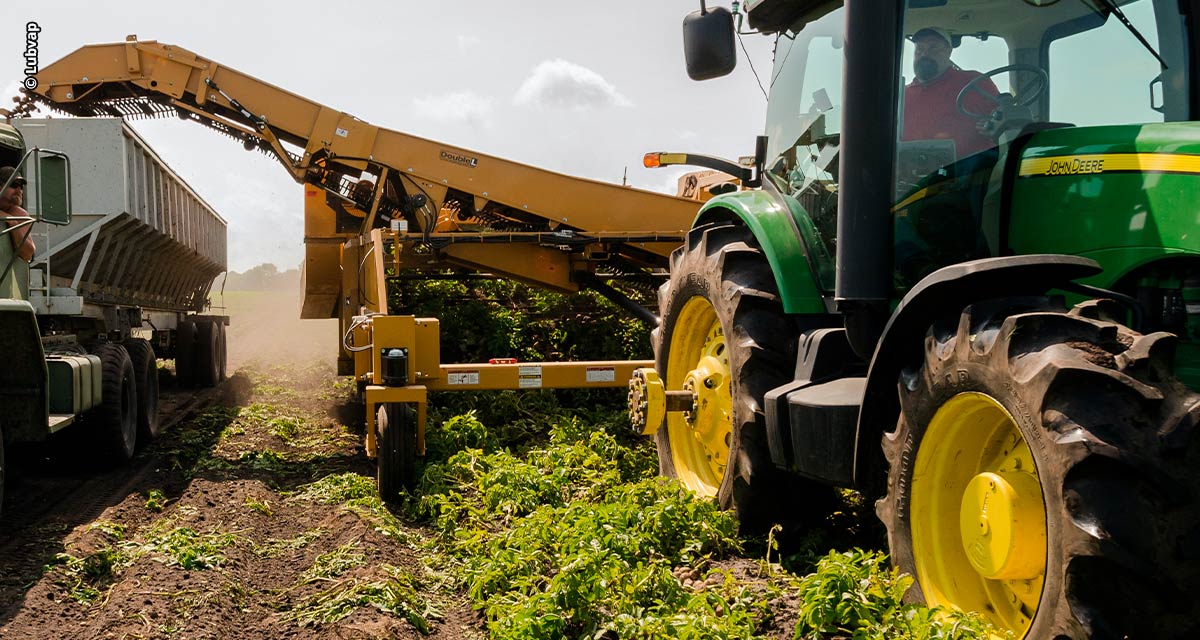Dia do agricultor: pesquisa aponta avanço da economia no setor que destaca uso de tecnologia e automação industrial