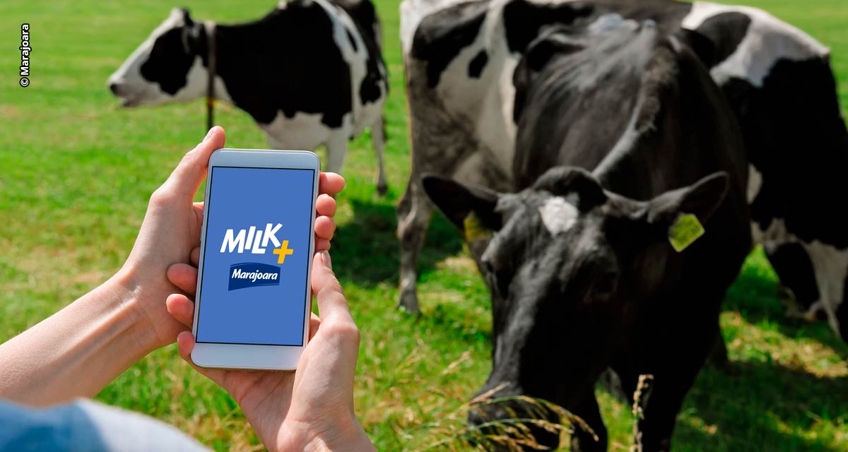Marajoara lança aplicativos para fornecedores de leite