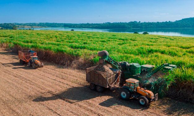 Com adubação biológica produtor alcança produtividade acima da média nacional em ambiente restritivo