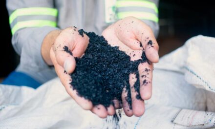 Conheça o biochar, uma “esponja de carbono” amiga do ambiente que vira dinheiro para agricultores