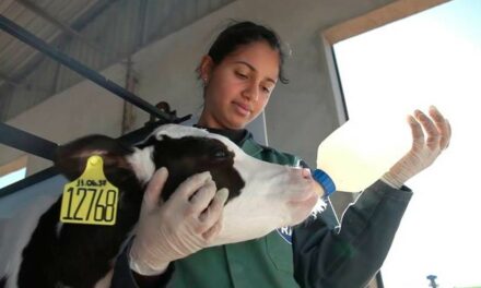 Pioneira no Sul do Brasil, RAR lança produtos com selo de bem-estar animal
