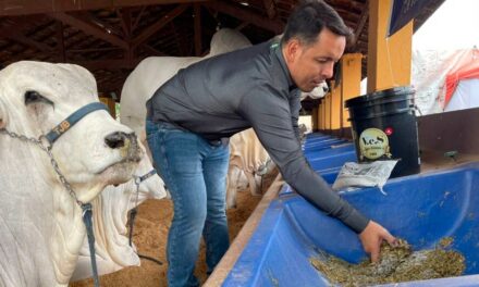 Mastite bovina pode gerar um alto prejuízo econômico aos produtores rurais se não for tratada e prevenida