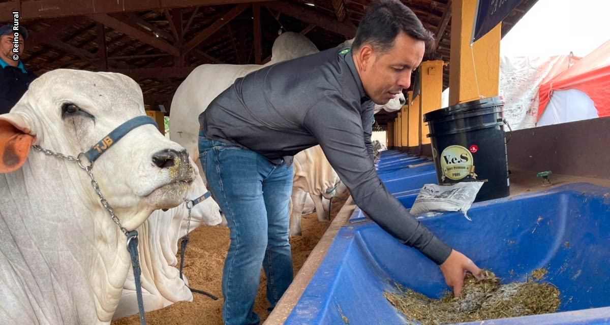 Mastite bovina pode gerar um alto prejuízo econômico aos produtores rurais se não for tratada e prevenida
