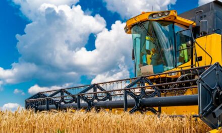 Agro aquecido no Brasil: como o controle de temperatura impacta em resultados no campo