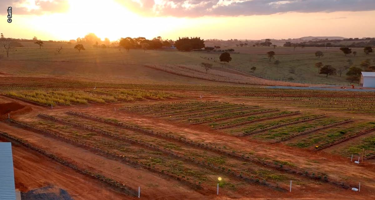 Satis firma nova parceria com a Embrapa Agroenergia