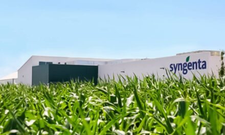 Syngenta Vegetable Seeds completa aquisição da Feltrin Sementes