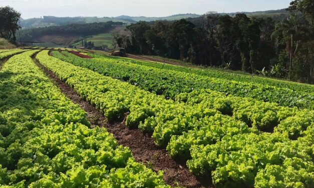 Ciclo sustentável em Jundiaí é exemplo para todo o Brasil