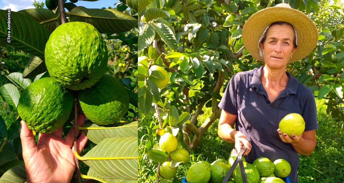 É importante homenagear os heróis do campo