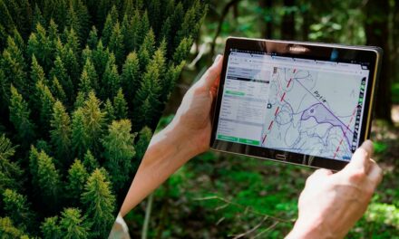 Dia de Proteção às Florestas: Tecnologia potencializa práticas ESG no setor florestal