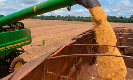 Simpósio traz programação robusta para debater os gargalos e desafios do pós-colheita