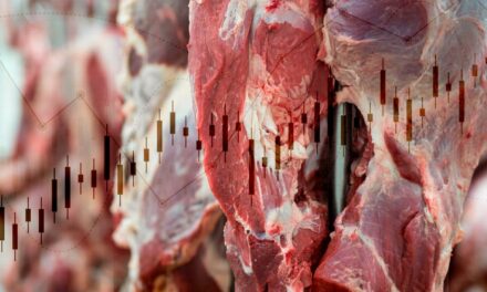 Escoamento da produção de carne bovina deve favorecer preço da arroba no segundo semestre