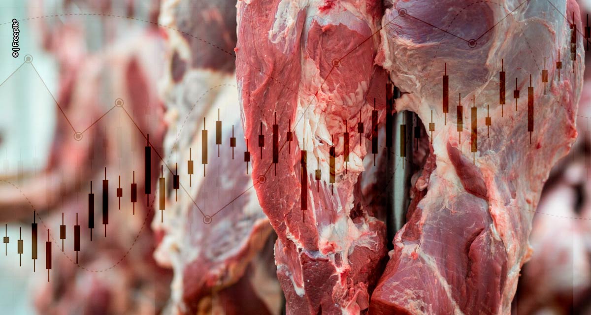 Escoamento da produção de carne bovina deve favorecer preço da arroba no segundo semestre