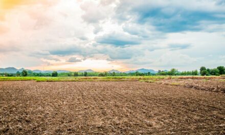 El Niño deve contribuir para o plantio da safra de verão no sul, mas pode atrasar a semeadura da segunda safra do milho