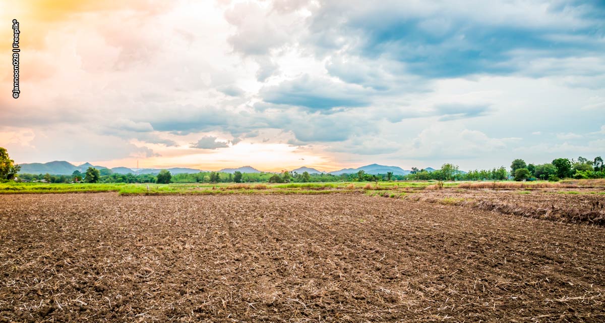 El Niño deve contribuir para o plantio da safra de verão no sul, mas pode atrasar a semeadura da segunda safra do milho