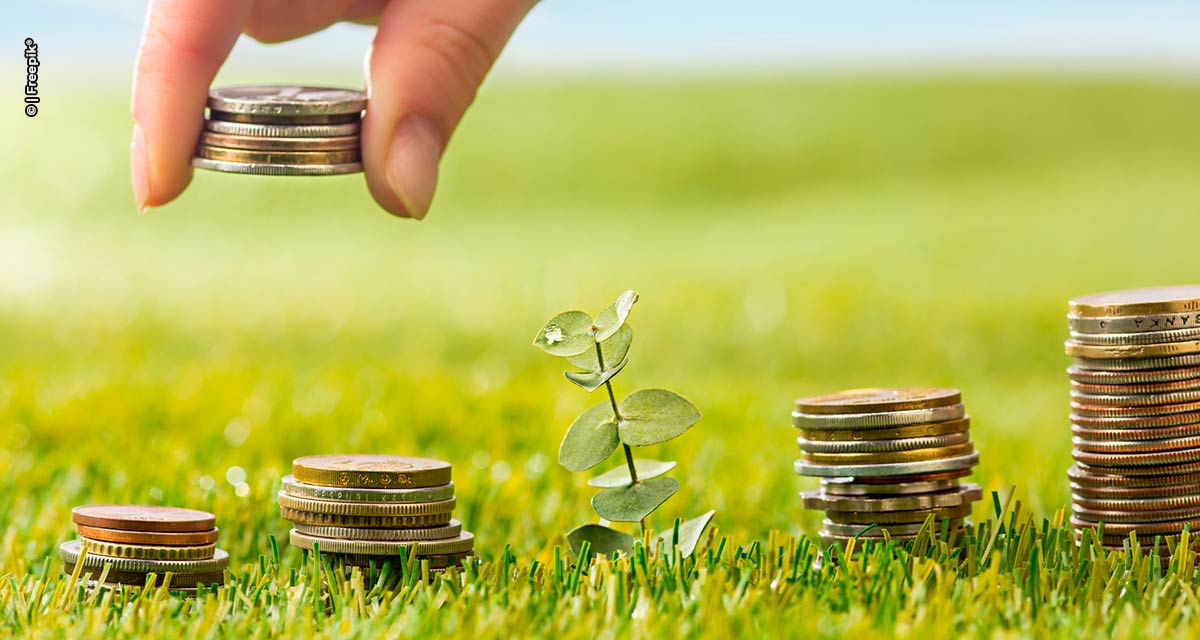 Arara Seed completa um ano e prevê fechar 2023 com 5 startups investidas, somando R$ 4,5 milhões transacionados