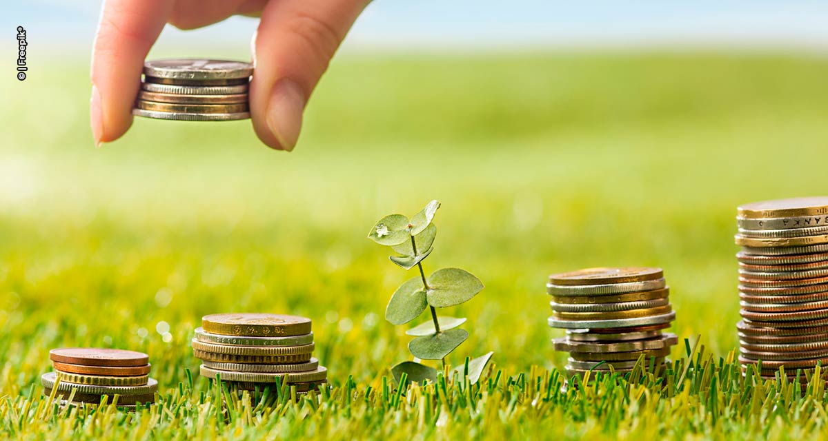 Arara Seed completa um ano e prevê fechar 2023 com 5 startups investidas, somando R$ 4,5 milhões transacionados