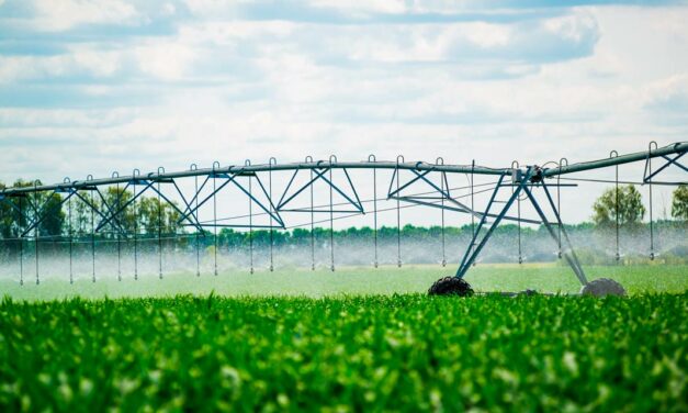 Coopercitrus e Bauer do Brasil se unem para aumentar a eficiência da irrigação nacional