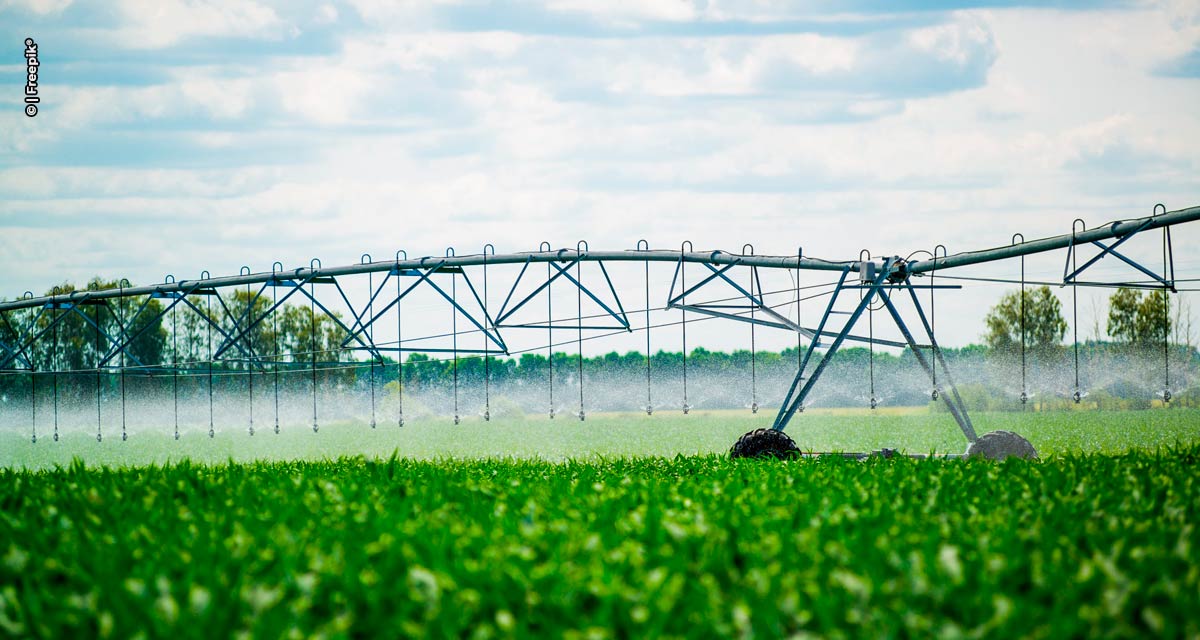 Coopercitrus e Bauer do Brasil se unem para aumentar a eficiência da irrigação nacional