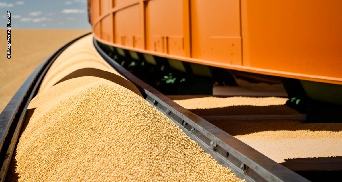 Bureau Veritas bate recorde e inspeciona mais da metade da supersafra de soja exportada pelo Brasil