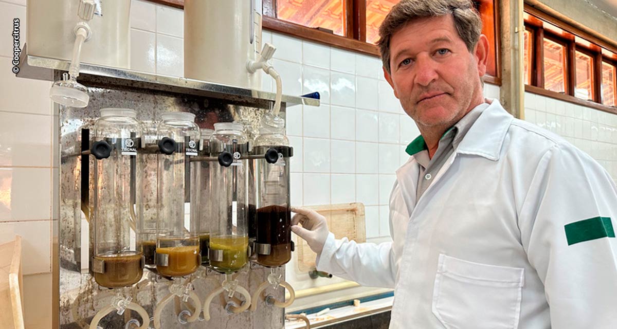 Análise de solo e folhas: garantindo bons resultados na agricultura