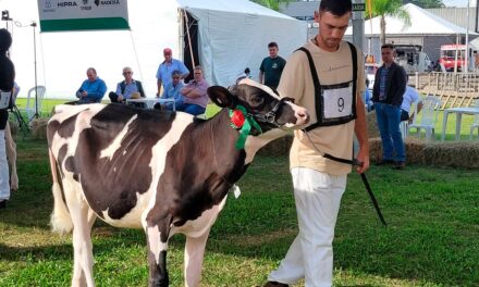 Cotribá terá novidades na Expointer para associados e visitantes