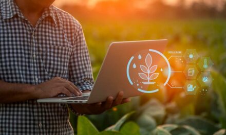 Como a conectividade IoT abre caminho para a agropecuária inteligente