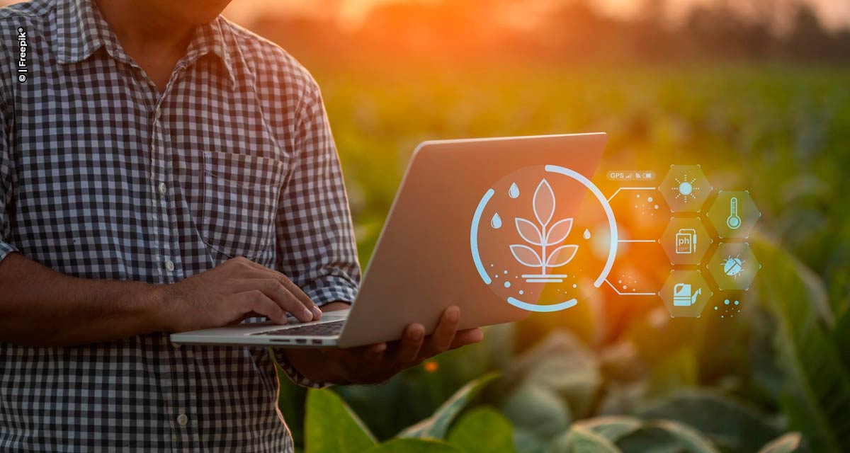 Como a conectividade IoT abre caminho para a agropecuária inteligente