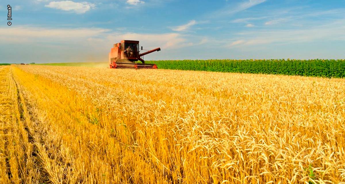 Plano Safra tem R$5,1 bi adicionais para agronegócio e agricultura familiar