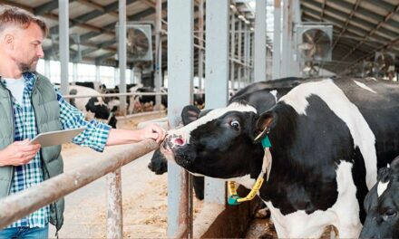 Rehagro lança o Rehsult, plataforma para impulsionar o trabalho do consultor na pecuária leiteira