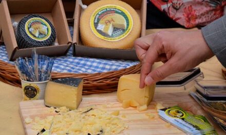 Sebrae Minas leva associações regionais de produtores de queijo artesanal para a ExpoQueijo 2023