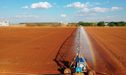 Syngenta Seeds inaugura novo sistema de irrigação   em unidade de Pesquisas de Lucas do Rio Verde (MT)
