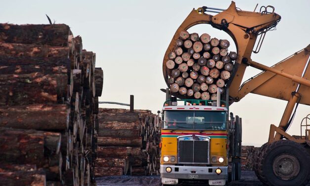 Expoforest 2023: Gerenciamento por software e câmeras com IA são tendência nos setores florestal e de transporte