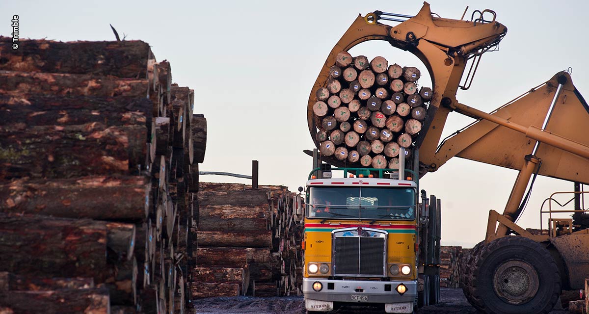 Expoforest 2023: Gerenciamento por software e câmeras com IA são tendência nos setores florestal e de transporte