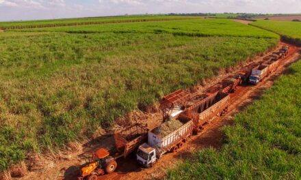 Do campo à mesa com mais eficiência: evento discute conexão entre tecnologia logística e de agricultura