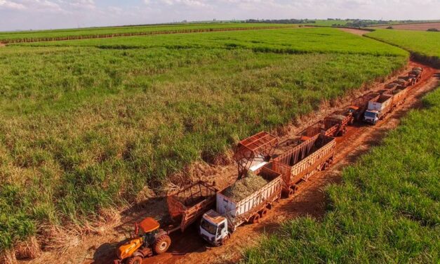 Do campo à mesa com mais eficiência: evento discute conexão entre tecnologia logística e de agricultura