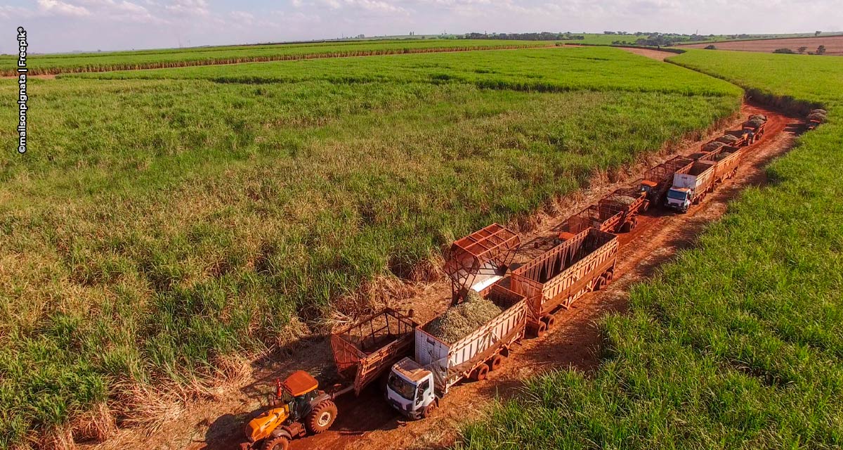 Do campo à mesa com mais eficiência: evento discute conexão entre tecnologia logística e de agricultura