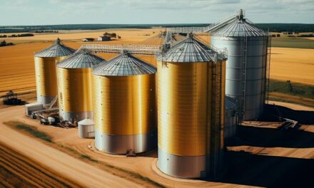 Capacidade de processamento de oleaginosas no Brasil cresce para mais de 69 milhões de toneladas em 2023