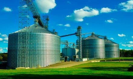 V Simpósio de Pós-Colheita vai ampliar debate sobre segurança e conservação de grãos em silos