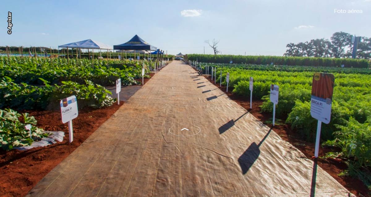 Imersão digital leva novidades em horticultura para produtores brasileiros