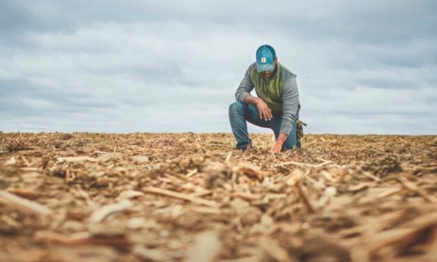 Mais de 70% dos agricultores já observaram impactos das mudanças climáticas em suas fazendas, revela pesquisa global em 8 países