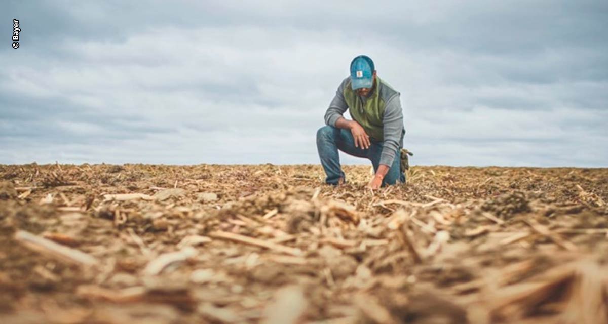 Mais de 70% dos agricultores já observaram impactos das mudanças climáticas em suas fazendas, revela pesquisa global em 8 países