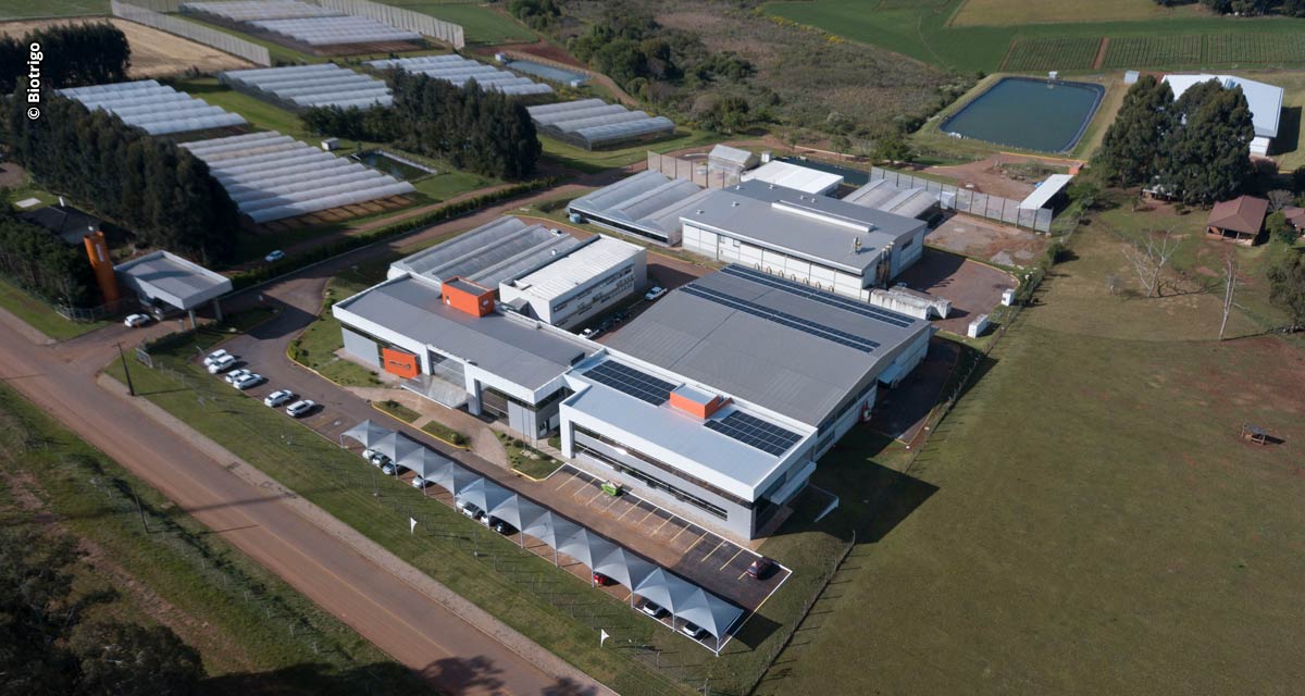 GDM firma acordo para adquirir a empresa Biotrigo Genética
