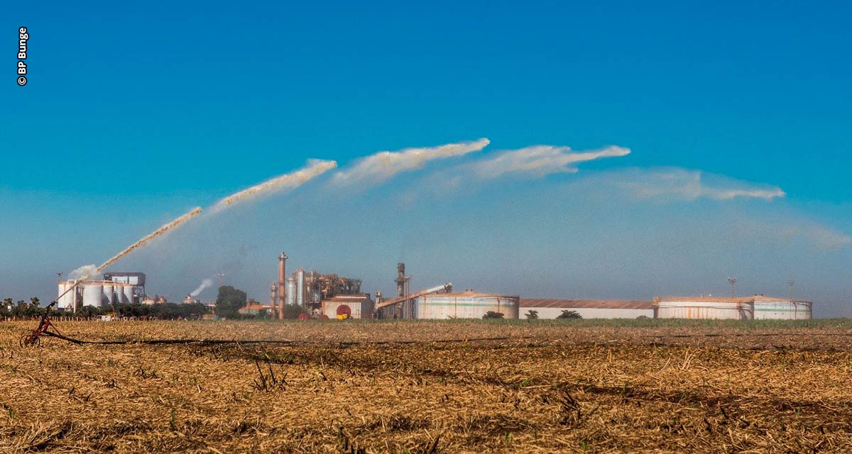 Com sistema dutoviário BP Bunge reduz emissão de 1.500 toneladas de CO2 no transporte de etanol