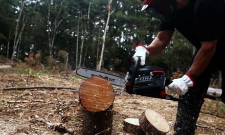 Os cuidados necessários para garantir a eficiência e aumentar a durabilidade das motosserras